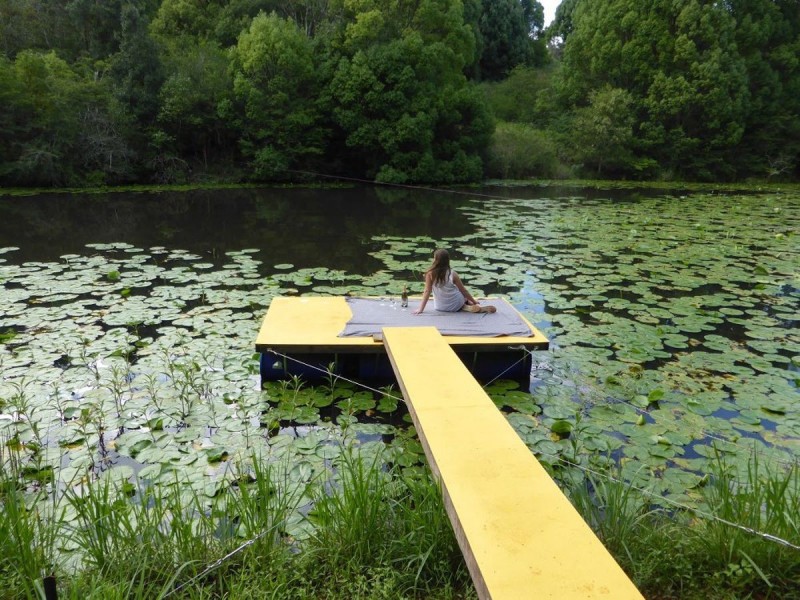 305 Coolamon Scenic Drive, Coorabell NSW 2479