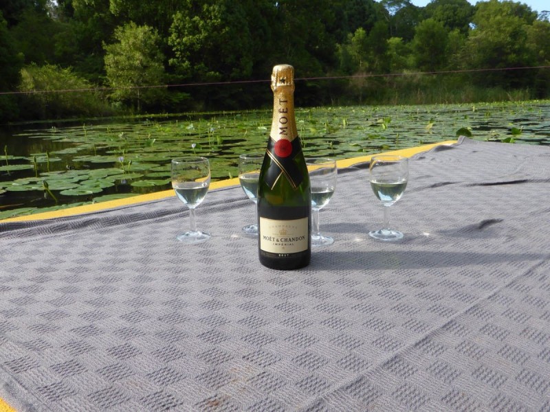 305 Coolamon Scenic Drive, Coorabell NSW 2479