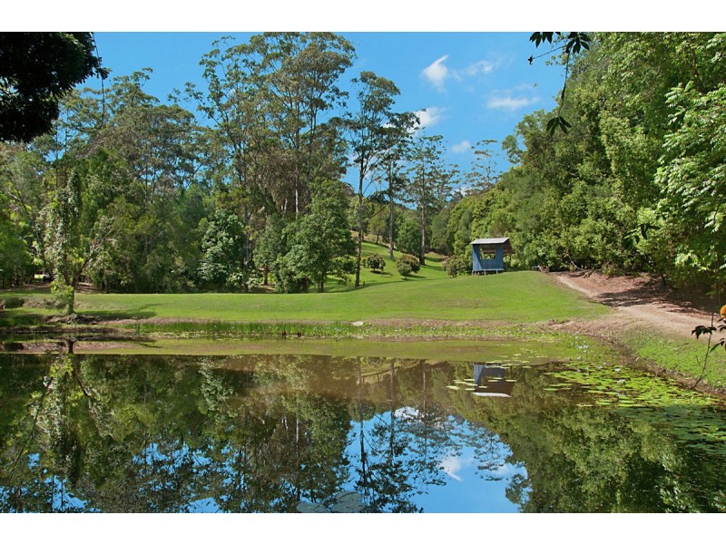 Lot 3 Crabbes Creek Road, Crabbes Creek NSW 2483