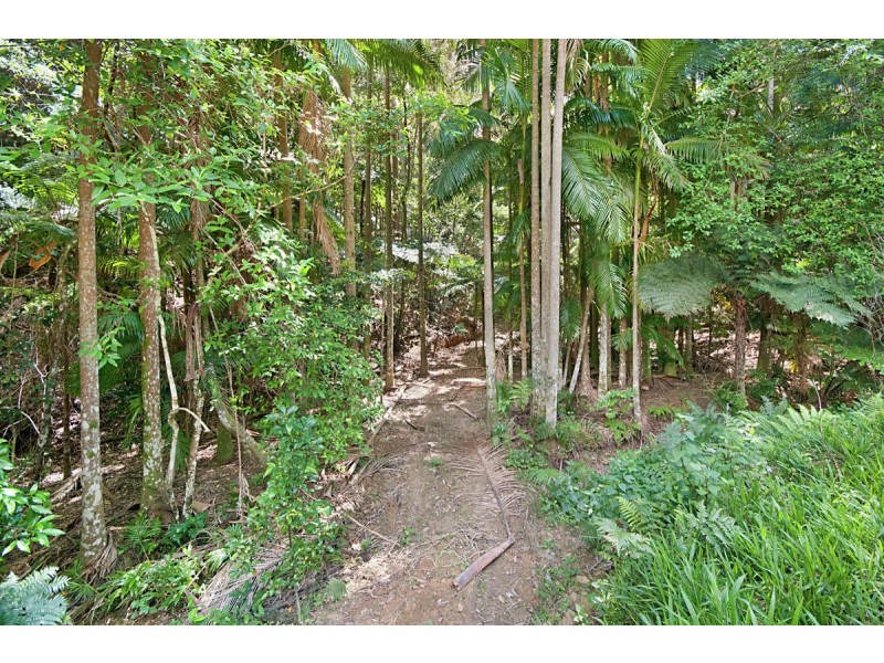 Lot 3 Crabbes Creek Road, Crabbes Creek NSW 2483