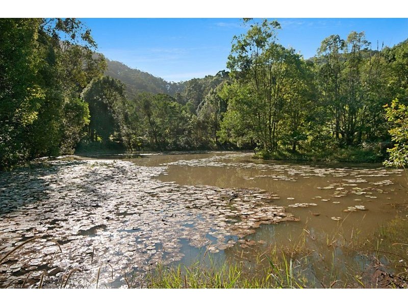 402 Middle Pocket Road, Middle Pocket NSW 2483