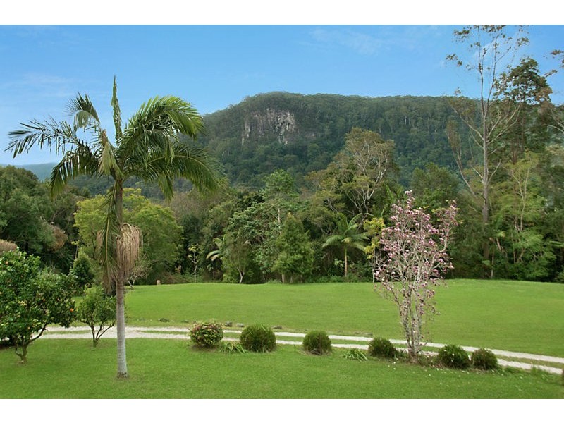 1083 Wilsons Creek Road, Wilsons Creek NSW 2482