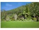 1083 Wilsons Creek Road, Wilsons Creek NSW 2482