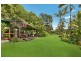 1083 Wilsons Creek Road, Wilsons Creek NSW 2482