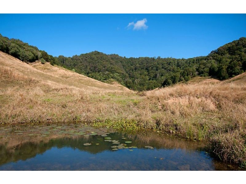 Crabbes Creek NSW 2483