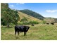 Crabbes Creek NSW 2483
