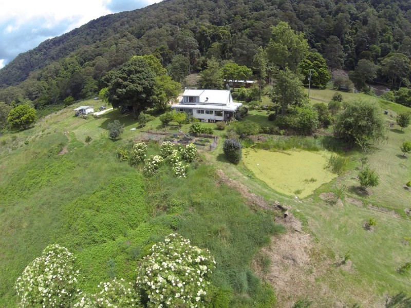 125 Boxsell Road, Tyalgum NSW 2484