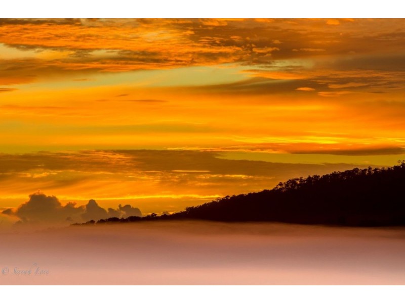 125 Boxsell Road, Tyalgum NSW 2484