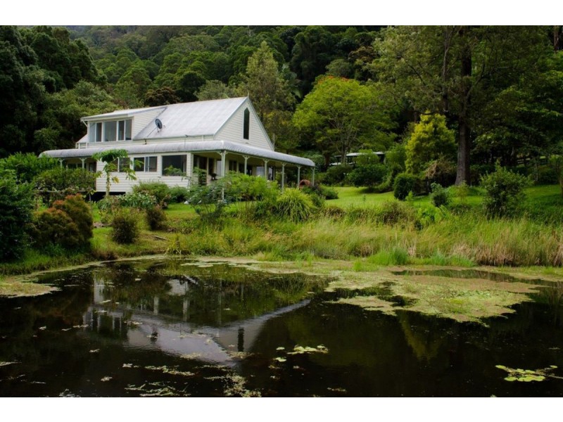 125 Boxsell Road, Tyalgum NSW 2484