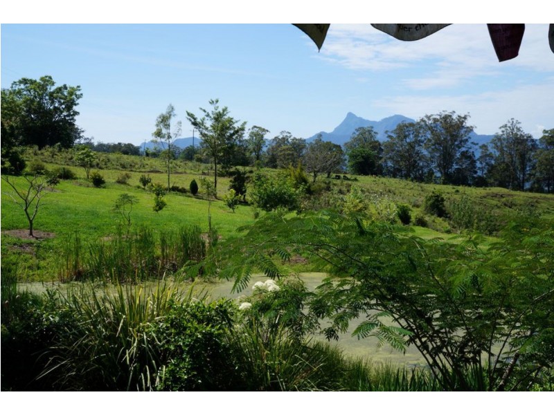 125 Boxsell Road, Tyalgum NSW 2484