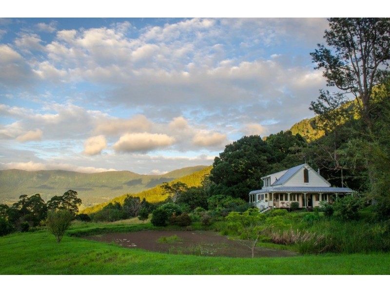 125 Boxsell Road, Tyalgum NSW 2484