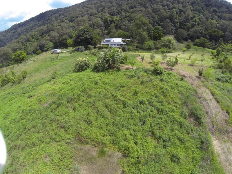 125 Boxsell Road, Tyalgum NSW 2484