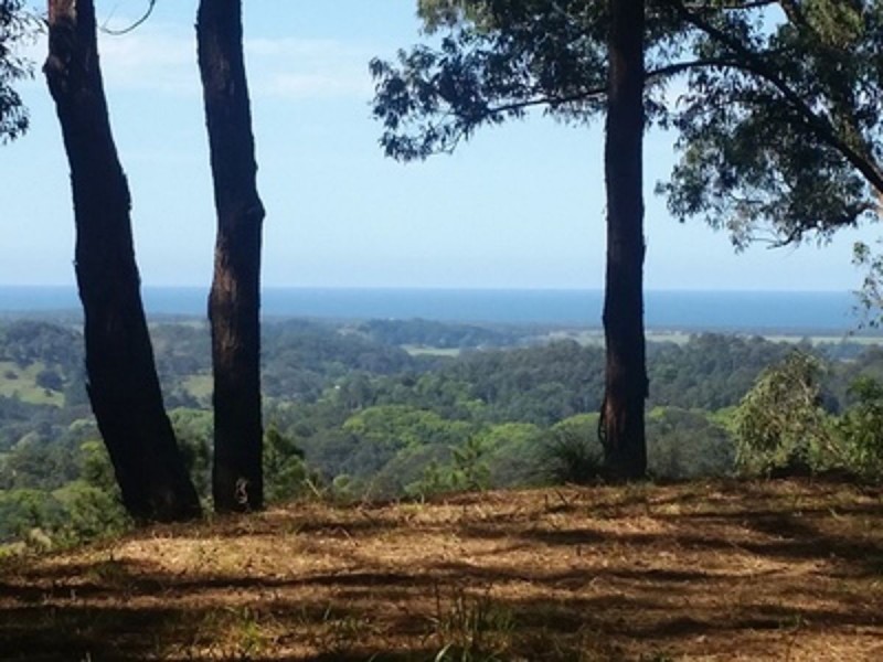 91 Pimble Valley Road, Crabbes Creek NSW 2483