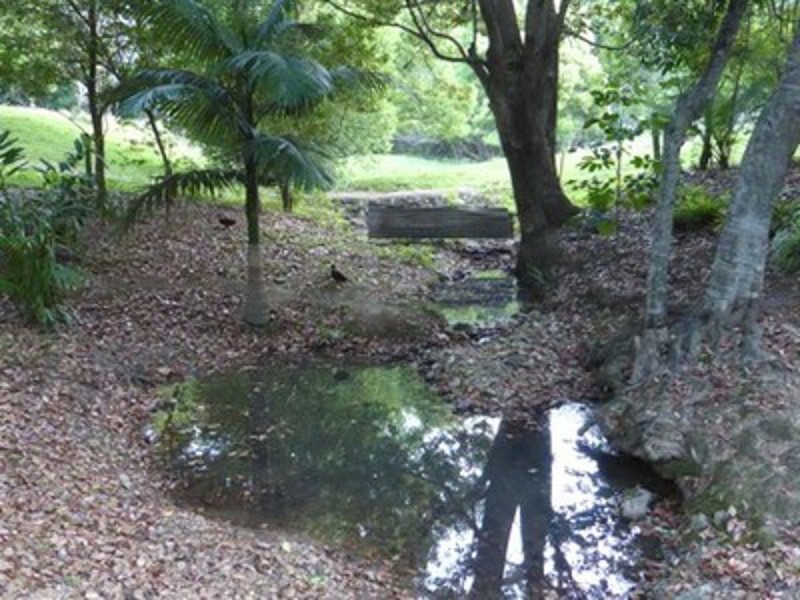 91 Pimble Valley Road, Crabbes Creek NSW 2483