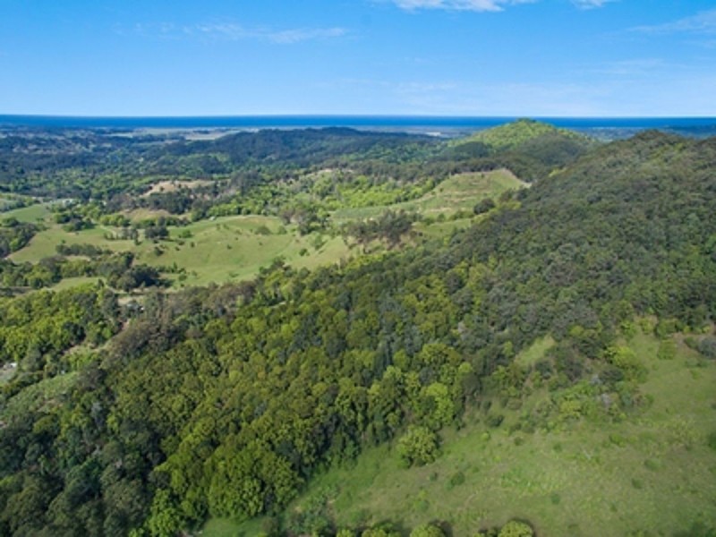 91 Pimble Valley Road, Crabbes Creek NSW 2483