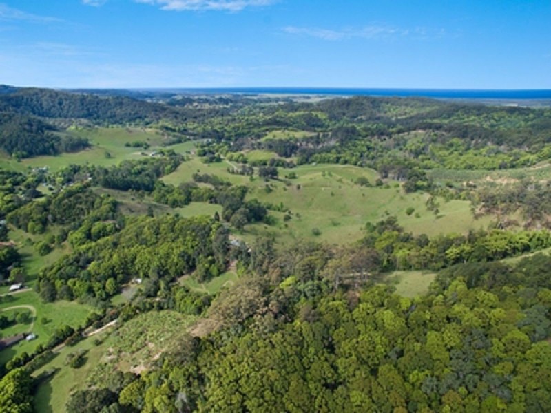 91 Pimble Valley Road, Crabbes Creek NSW 2483