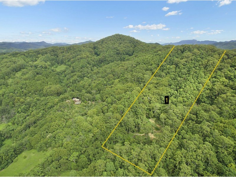 Lot 1, 103 Dixons Road, Burringbar NSW 2483