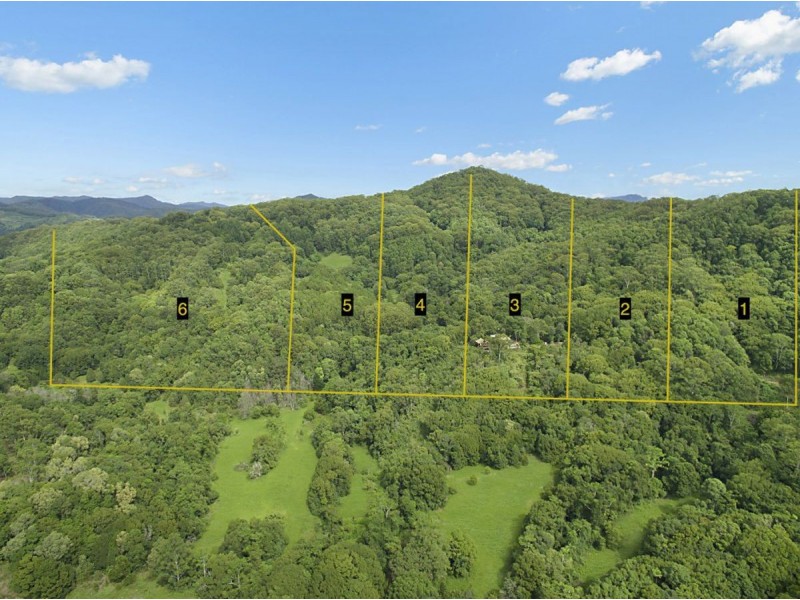 Lot 1, 103 Dixons Road, Burringbar NSW 2483