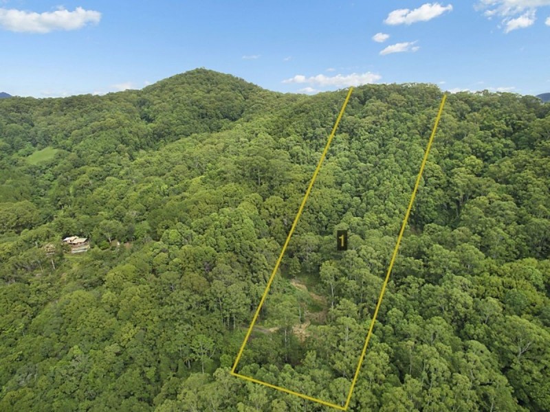 Lot 1, 103 Dixons Road, Burringbar NSW 2483