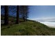 Lot 5 Flowers Drive, Catherine Hill Bay NSW 2281