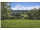 44 Station Street, Burringbar NSW 2483