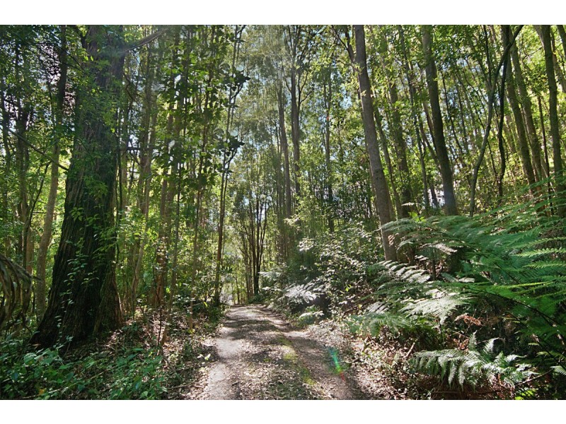 109 Pimble Valley Road, Crabbes Creek NSW 2483