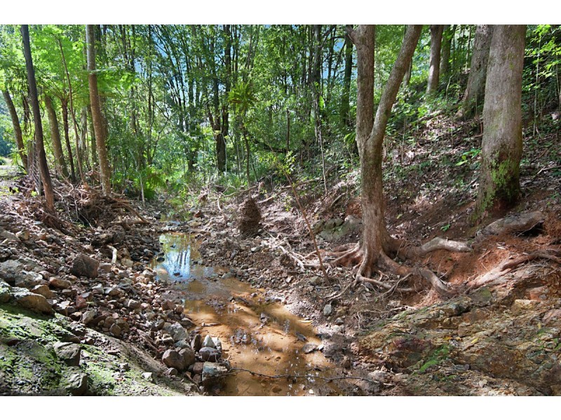 109 Pimble Valley Road, Crabbes Creek NSW 2483