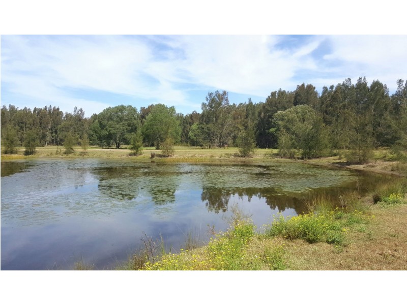 Goodwood Island NSW 2469