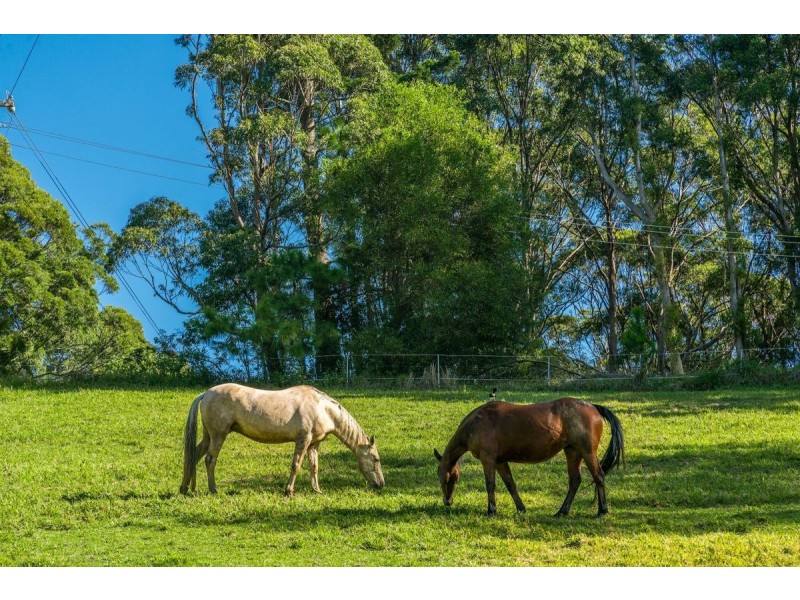 100 Old Bangalow Road, Byron Bay NSW 2481