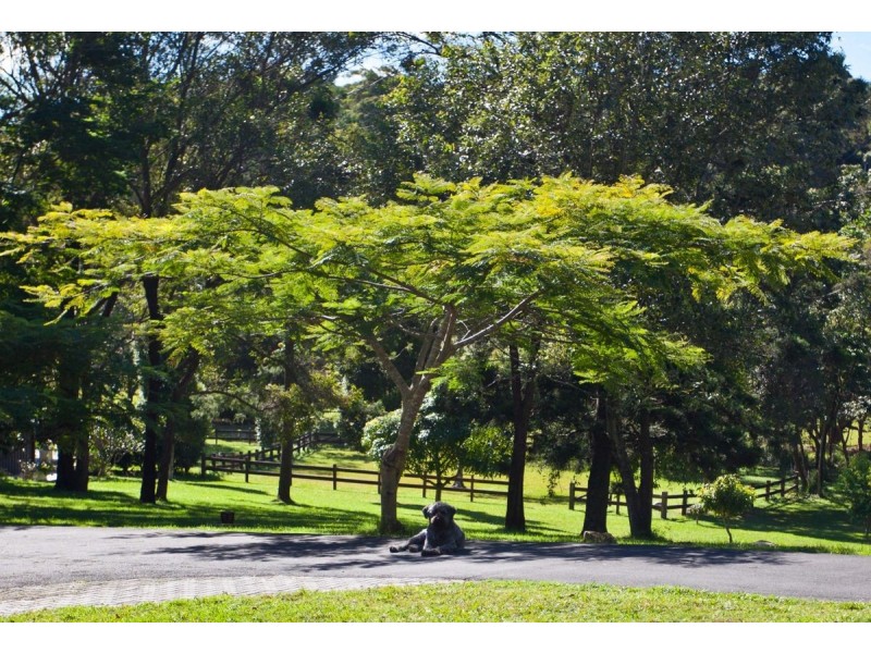100 Old Bangalow Road, Byron Bay NSW 2481