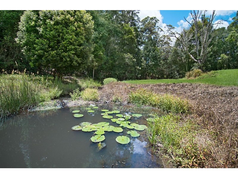 62 Barlee Drive, Fernvale NSW 2484