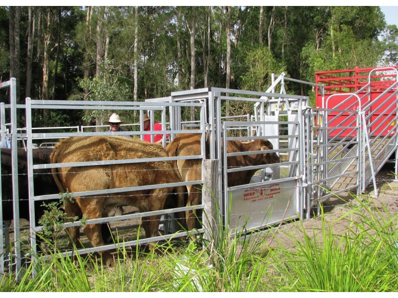 Goodwood Island NSW 2469