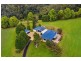 458 Byrrill Creek Road, Byrrill Creek NSW 2484