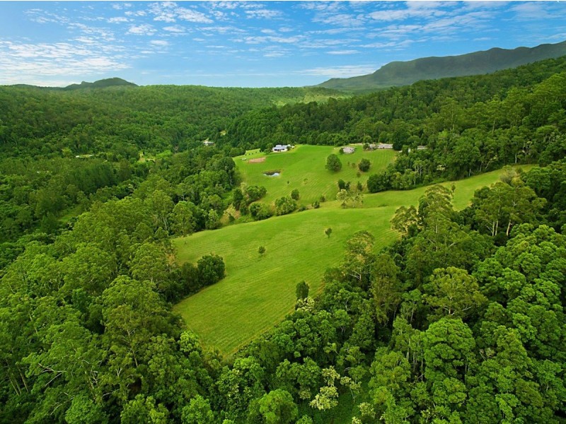 458 Byrrill Creek Road, Byrrill Creek NSW 2484