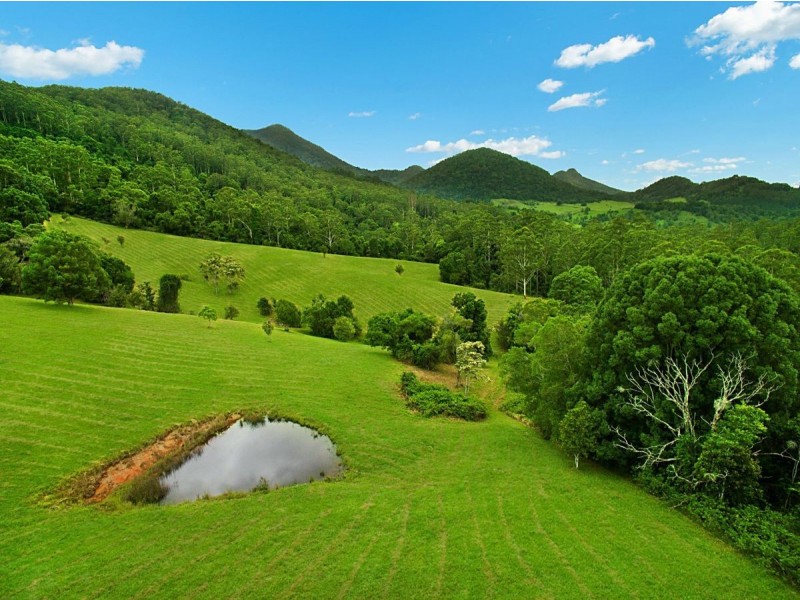 458 Byrrill Creek Road, Byrrill Creek NSW 2484