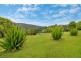 458 Byrrill Creek Road, Byrrill Creek NSW 2484