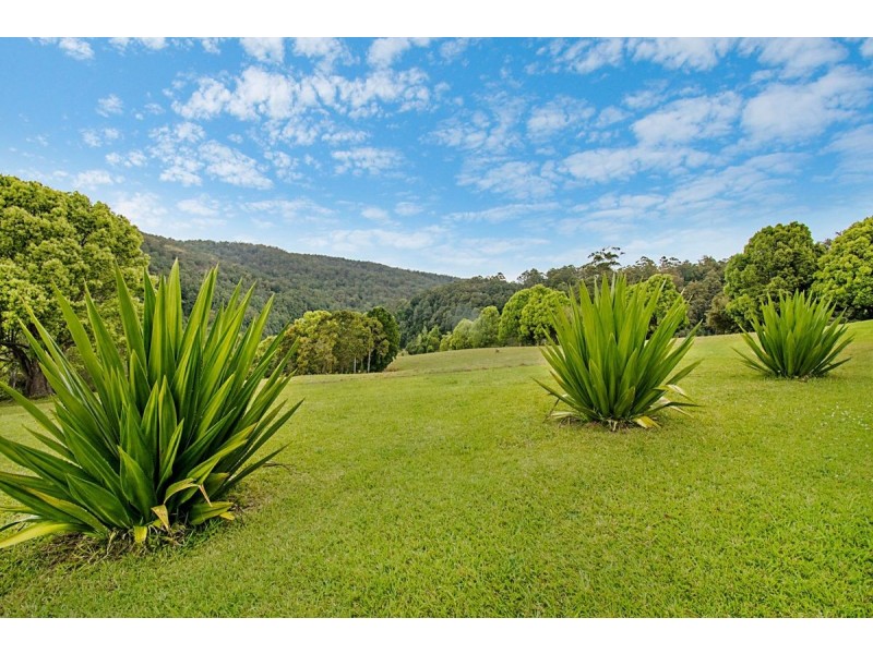 458 Byrrill Creek Road, Byrrill Creek NSW 2484