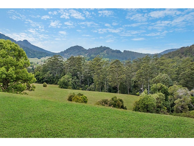 458 Byrrill Creek Road, Byrrill Creek NSW 2484