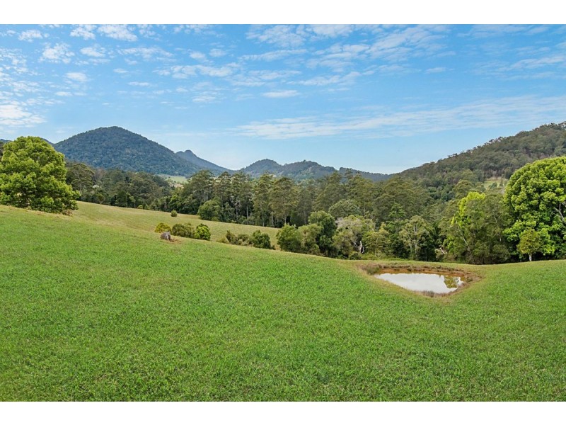 458 Byrrill Creek Road, Byrrill Creek NSW 2484