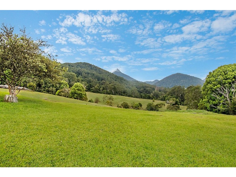 458 Byrrill Creek Road, Byrrill Creek NSW 2484