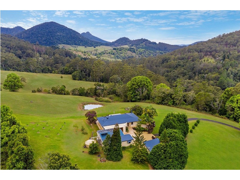 458 Byrrill Creek Road, Byrrill Creek NSW 2484