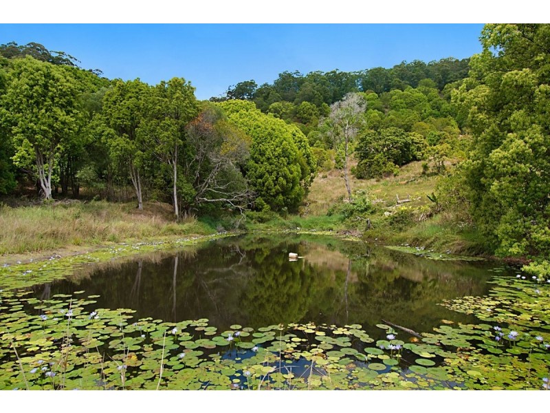 63 Heron Road, Burringbar NSW 2483