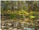 151 Diamond Beach Road, Red Head NSW 2430