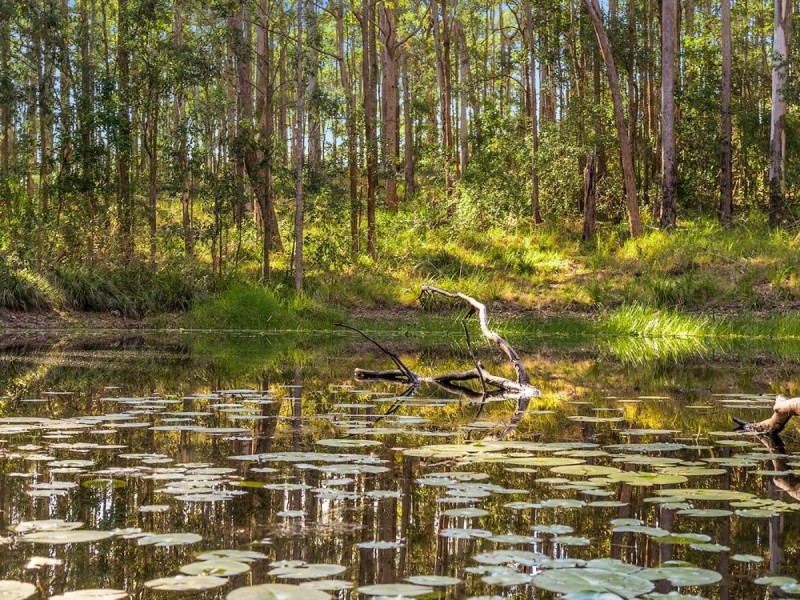 151 Diamond Beach Road, Red Head NSW 2430