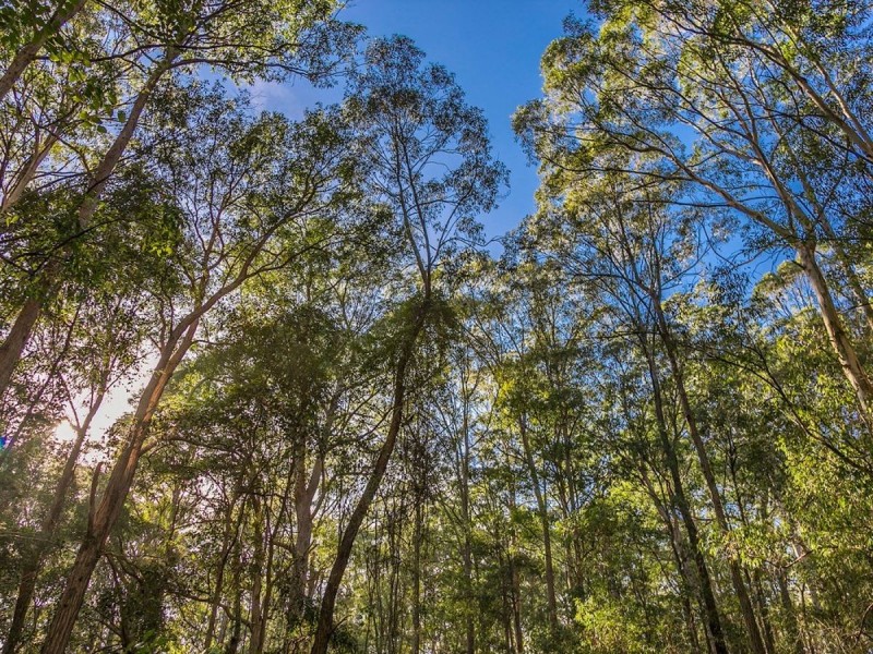 151 Diamond Beach Road, Red Head NSW 2430