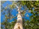 151 Diamond Beach Road, Red Head NSW 2430