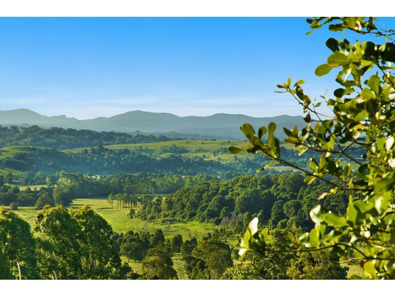 54 Satinwood Drive, Mcleans Ridges NSW 2480