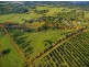 54 Satinwood Drive, Mcleans Ridges NSW 2480