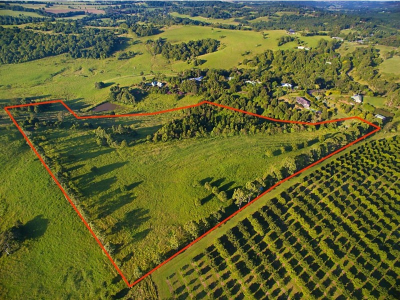 54 Satinwood Drive, Mcleans Ridges NSW 2480