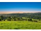 54 Satinwood Drive, Mcleans Ridges NSW 2480